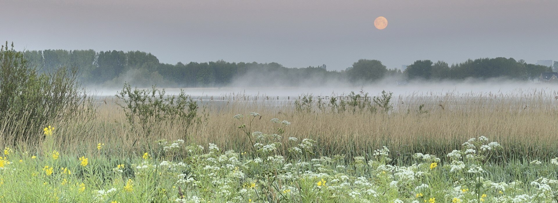 4-supermaan-boven-starrevaartplas-7-mei-2020